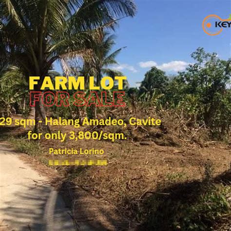 farm lot for sale cavite.